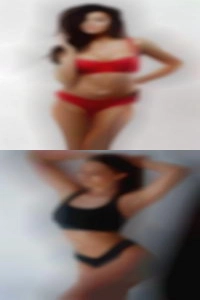 Ok OR where is the pussy